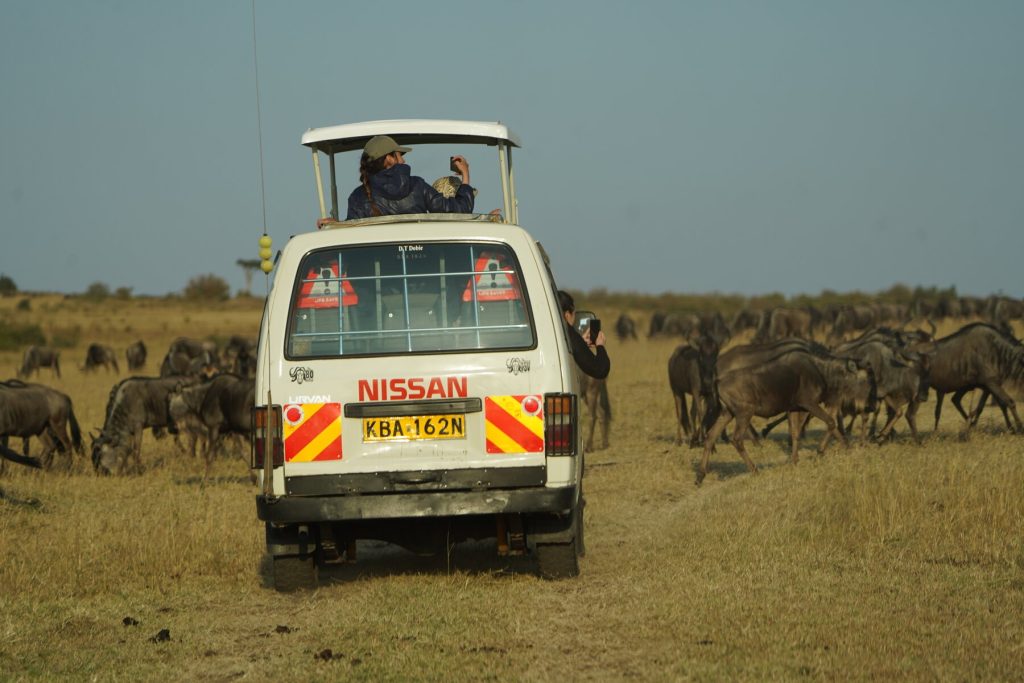 Safari u keniji masai mara