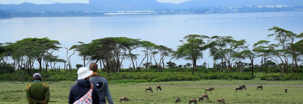Jezero Naivasha Kenija (Boat + Walking Safari)