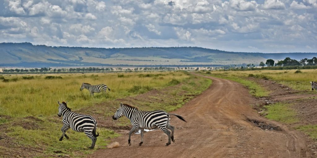 Svi Nacionalni Parkovi u Keniji (20+ Nac.Parkova)